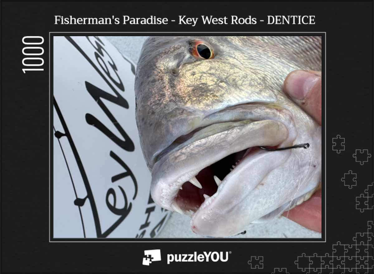 Weast Rods Fisherman's Paradise - Key West Rods - DENTICE